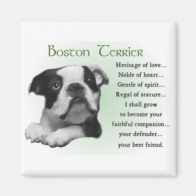 Boston Terrier Geschenke Magnet (Vorne)