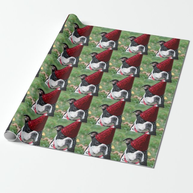 Boston-Terrier Geschenkpapier (Ungerollt)