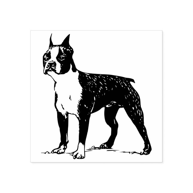 Boston Terrier Gummistempel (Prägung)
