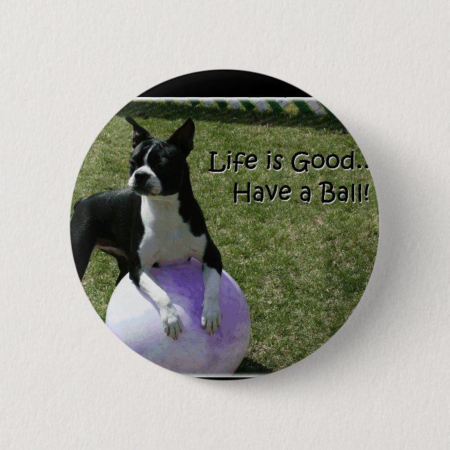Boston Terrier:  Haben Sie einen Ball! Button (Vorderseite)