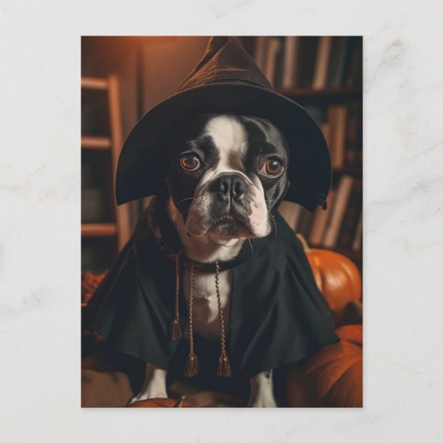 Boston Terrier Halloween Postkarte (Vorderseite)