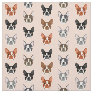 Boston Terrier Heads Gewebe - niedliche Hunde Stoff