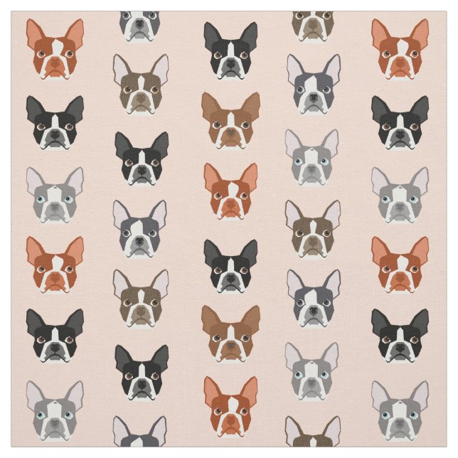 Boston Terrier Heads Gewebe - niedliche Hunde Stoff (Muster)