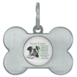 Boston Terrier Heritage of Liebe Tiermarke