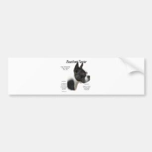 Boston Terrier History Design Autoaufkleber