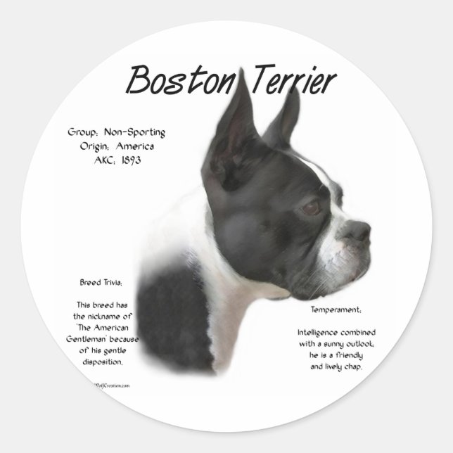 Boston Terrier History Design Runder Aufkleber (Vorderseite)