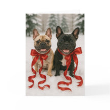 Boston Terrier Holiday Card