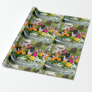 Boston Terrier Hund Geschenkpapier