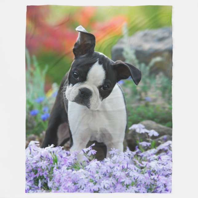 Boston Terrier Hund Niedlich Puppy Animal Head Fot Fleecedecke (Vorderseite)