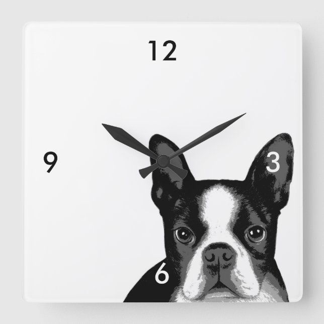 Boston Terrier Hund Quadratische Wanduhr (Vorderseite)