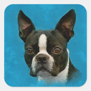 Boston Terrier Hund Quadratischer Aufkleber