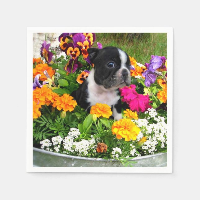 Boston Terrier Hund Serviette (Vorderseite)