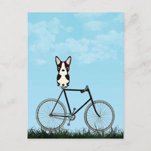 Boston Terrier Hund sitzt auf einem Vintage-Fahrra Postkarte