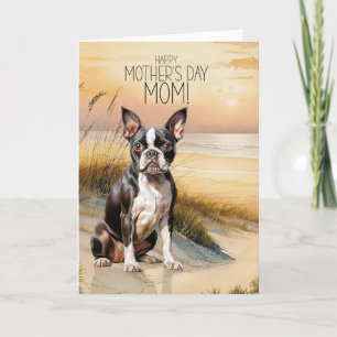 Boston Terrier Hund Sonnenuntergang Strand Muttert Feiertagskarte