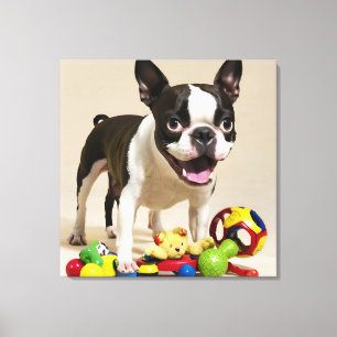 Boston Terrier Hund spielt mit Spielzeugen Leinwanddruck
