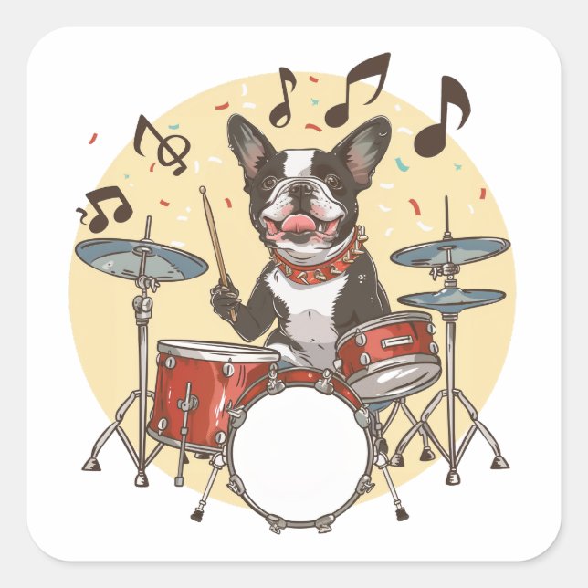 Boston Terrier Hund spielt Schlagzeug Quadratischer Aufkleber (Vorderseite)