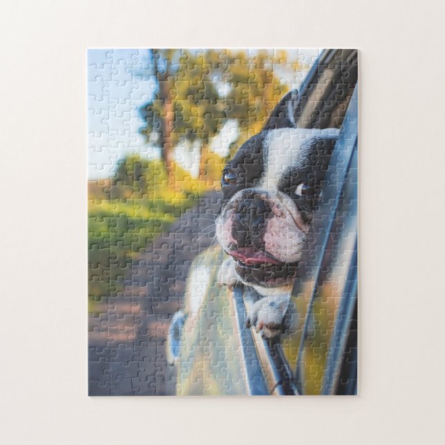 Boston Terrier Hund Sticken Kopf-aus Auto-Fenster Puzzle (Vertikal)
