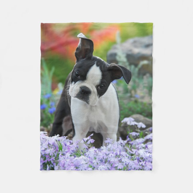 Boston Terrier Hund Welpe Komfort Fleecedecke (Vorderseite)