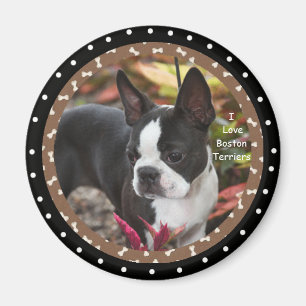 Boston-Terrier-Hunde der Liebe I Magnet