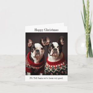 Boston Terrier Hunde in Weihnachtssüßen Karte