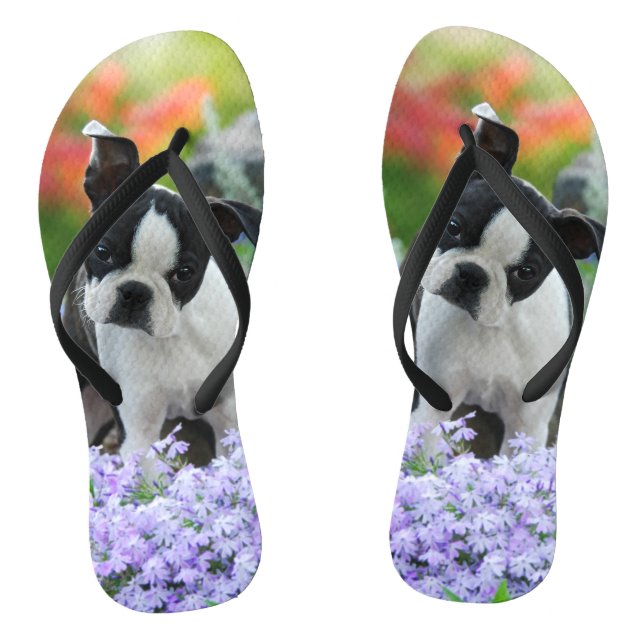 Boston-Terrier-Hundeniedliches Flip Flops (Fußbett)