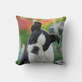 Boston-Terrier-Hundeniedliches Welpen-Porträt, Kissen