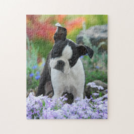 Boston-Terrier-Hundeniedliches Welpen-Spiel 11x14 Puzzle