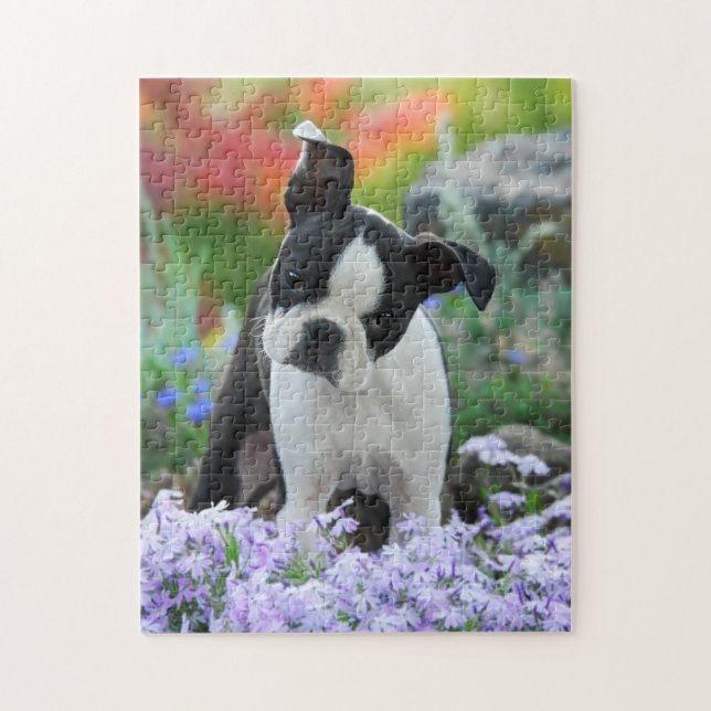 Boston-Terrier-Hundeniedliches Welpen-Spiel 11x14 Puzzle (Vertikal)
