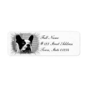 Boston-Terrier-HundeRücksendeadresse-Aufkleber