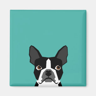 Boston Terrier Hundeschmagnet Magnet