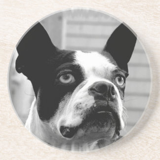 Boston-Terrier-HundeUntersetzer Sandstein Untersetzer