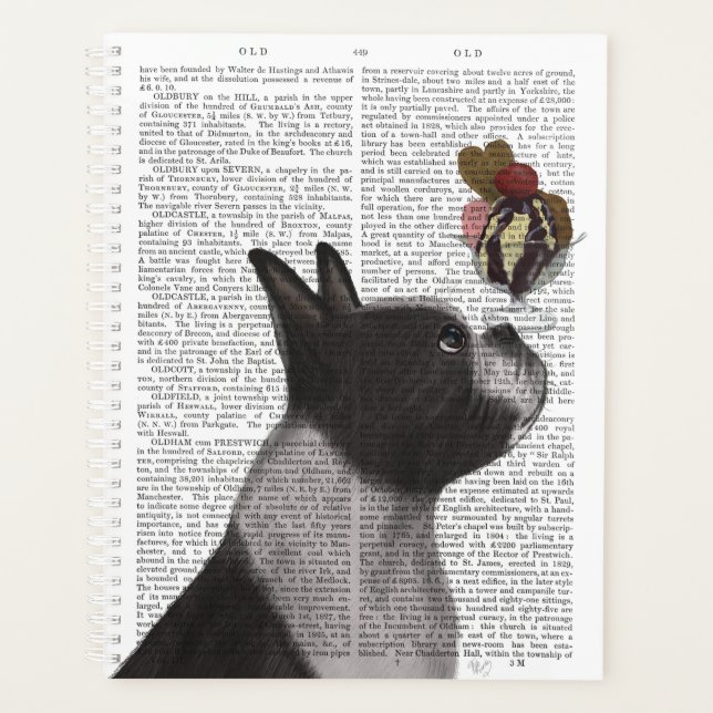Boston Terrier Ice Cream Planer (Vorderseite)