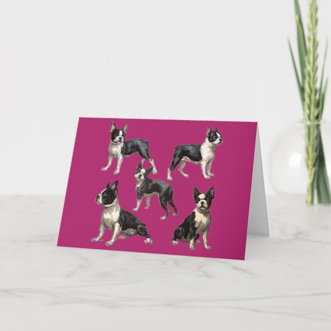 Boston-Terrier-Illustration Karte (Vorderseite)