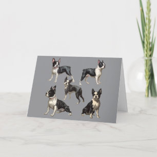 Boston-Terrier-Illustration Karte
