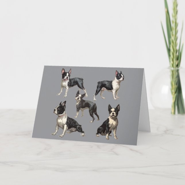 Boston-Terrier-Illustration Karte (Vorderseite)