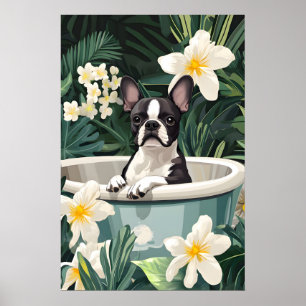 Boston Terrier im Badewannenplakat, Lustiger Hund Poster