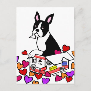 Boston Terrier im Box-Cartoon Postkarte