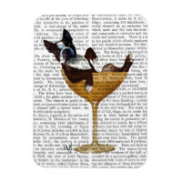 Boston Terrier im Cocktail-Glas 2