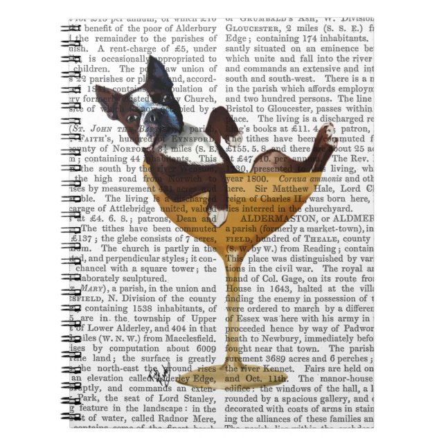 Boston Terrier im Cocktail-Glas 2 Notizblock (Vorderseite)
