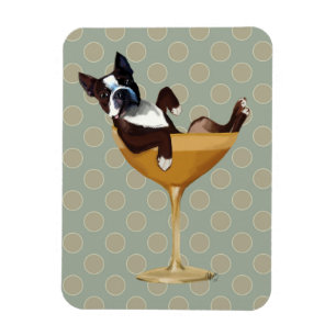 Boston Terrier im Cocktail-Glas Magnet