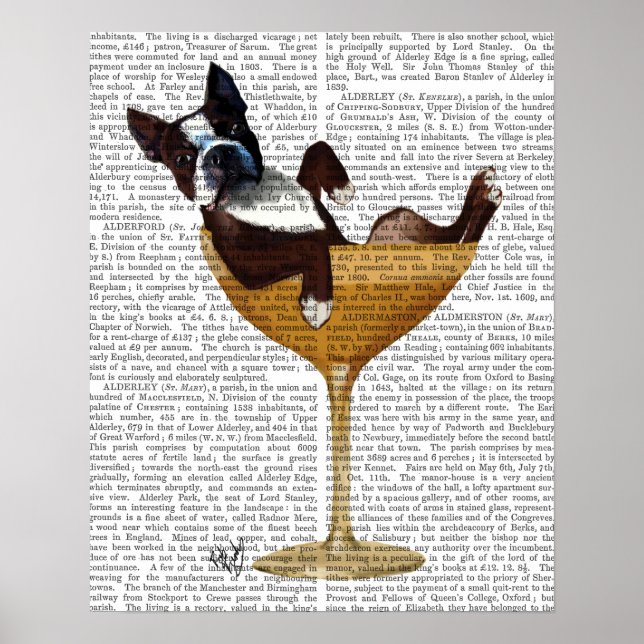 Boston Terrier in Cocktail Glass Poster (Vorne)