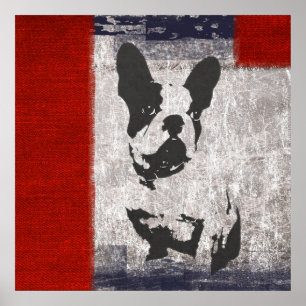 Boston Terrier in Schwarz und Weiß mit roter Grenz Poster