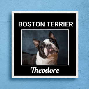 Boston Terrier Individuelles Hundeposter Poster