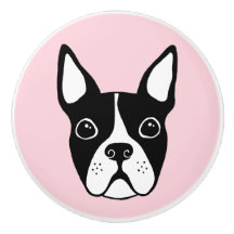 Boston-Terrier irgendein Farbhintergrund