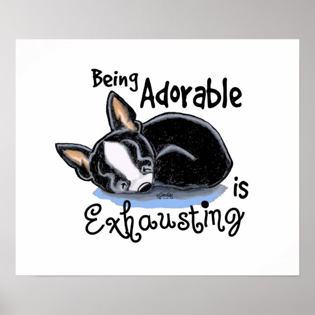 Boston Terrier ist bezaubernd Poster (Vorne)