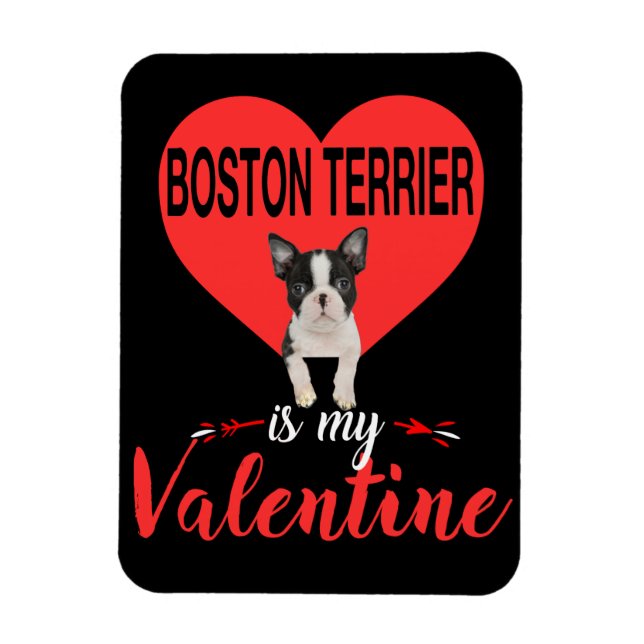 Boston Terrier ist mein Valentingeschenk Magnet (Vertikal)