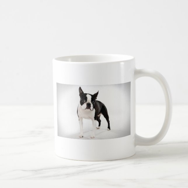 Boston Terrier Kaffeetasse (Rechts)