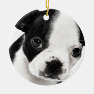 Boston Terrier Keramik Ornament