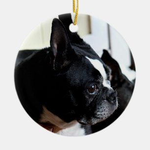 Boston-Terrier Keramik Ornament