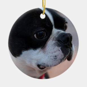 Boston-Terrier Keramik Ornament